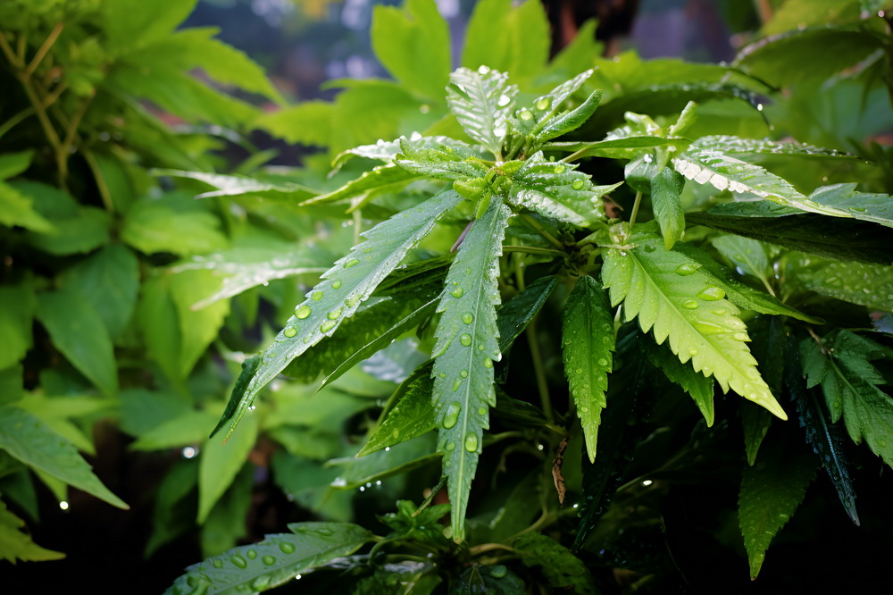 为什么在运动后需要放松？